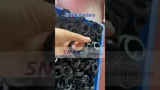 SNAK oilseal