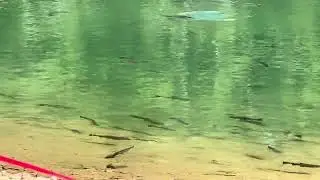 Lago privado en Colorado