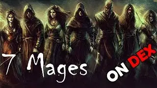 7 Mages walked into the bar ....