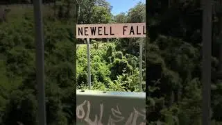 Newell Falls