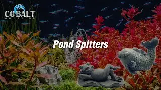 Cobalt Pond Spitters