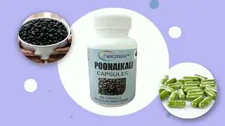 🌿 Introducing Neotea Poonaikali Seed Capsules 🌿