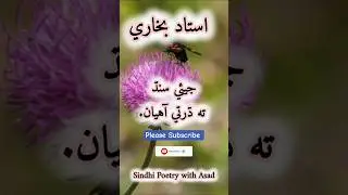 Sindhi poetry | Ustad Bukhari