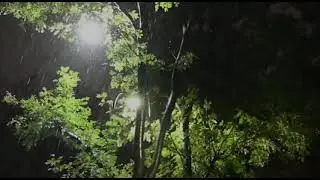 Ayub Bacchu - Ekhon onek raat (cover)