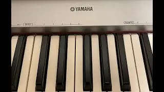 Piano Hanon and Scales