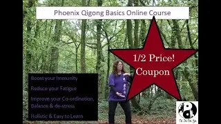 learn Joe Lok's Phoenix Qigong Basics online course August 50% off coupon(see video)stand or sit