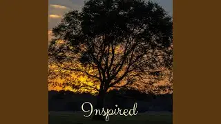 Quachita Forest
