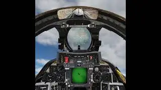 DCS F-14 Dog fight tranning #dcs