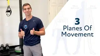The Sagittal Plane (3 Planes of Motion)