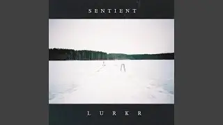 Lurkr.