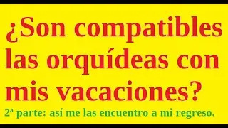 ¿Me puedo ir de vacaciones? Parte 2ª: a mi regreso de las vacaciones.