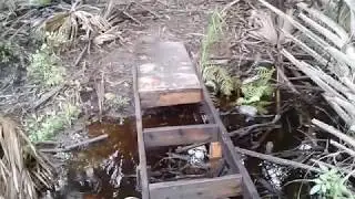 A Bridge To Nowhere (V620) Bushcraft Primitive Technology Urban Survival