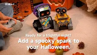 Sillbird Holiday Collection | Ready for a frightful night? Add a spooky spark to your Halloween.