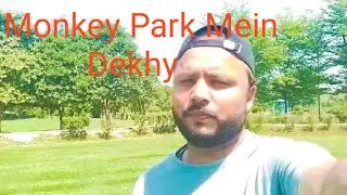 FAISALABAD Gatwala Park//Fsd largest park//Monkey Dekhy 🤗🤗🫡#vlog
