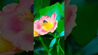 Enjoy beautiful nature with rural life #shortvideo #viral #shorts