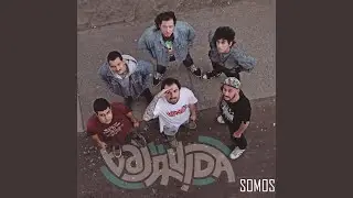 Compa&ntilde;era combativa