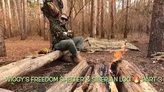 Winter Overnight with WIGGY'S Freedom Shelter & Siberian Log 🔥 PART 3