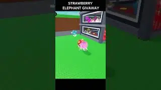 STRAWBERRY ELEPHANT GIVEAWAY