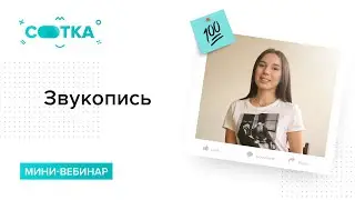 Звукопись за 5 минут | ЛИТЕРАТУРА ЕГЭ | СОТКА