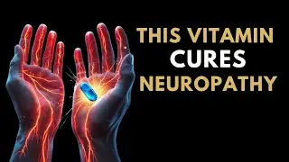 The #1 Vitamin to Reverse Neuropathy and Damaged Nerves - Pain in Feet and Hands !