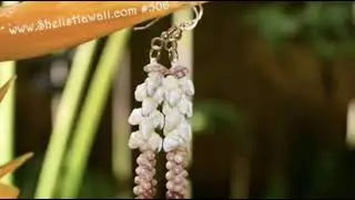 Niihau & Kauai shell jewelry