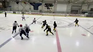 U14AAA LTU U14 Select vs Storm Hockey 2025/04/11