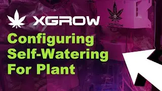 Xgrow 5: Configuring Self-Watering For Plant