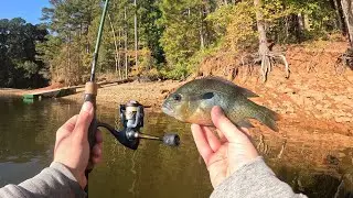 1 Hour Of RAW AND UNCUT Ultralight Fishing With Gulp Minnows
