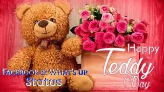 Teddy bear Facebook & What's up Status.Happy Teddy Day.