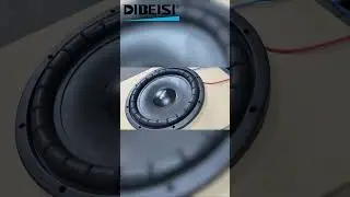 💥 Feel the Beats! | Car Subwoofer by DIBEISI AUDIO 🚗