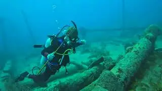 Nurse Shark at Eagle Pier 23-01-2026