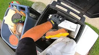 Curbside Scavenging 