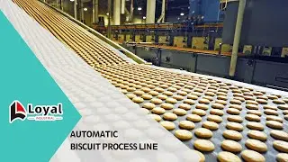 Ligne de production automatique de biscuits de haute qualit&eacute; Whatsapp/Wechat：+86 19953151411