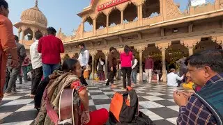 Shri Radha rani temple Barsana ||  01/30 day daily vlog challenge 