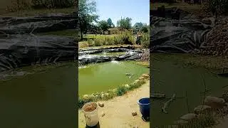 pond life. made some progress. The waterfall is running. #diypond #homestead #waterfall