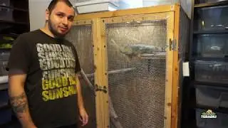 Ep. 134 - Conditiile pentru a tine doi serpi impreuna