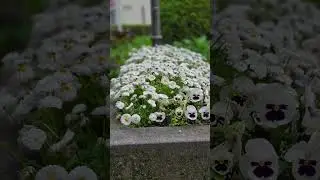 Доброе утро 