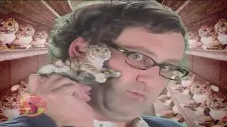 Tiny Tigers - Tim and Eric | Advertisements You Can't Skip