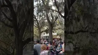 #livemusic #concert #music #dailyvlog #life #2025 #porchfest #florida #memories #fun #indie #genre