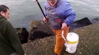 Pesca de Escardones y Cornos en La Escollera Sur Mar del Plata 27 de Julio de 2013