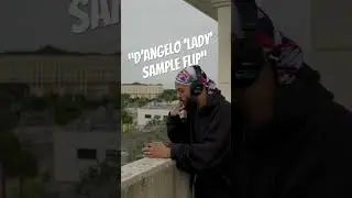 &ldquo;D&rsquo;Angelo &lsquo;Lady&rsquo; Sample Flip on the SP-404 mkII