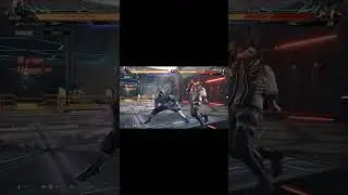 Raven 137 damage