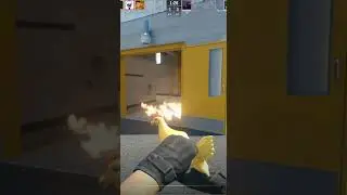 CS2 Leaks Pet Chicken (GOLD)