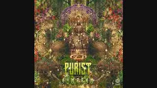 Purist - Apometron ᴴᴰ