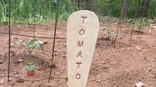 Planting Tomatoes&hellip;horizontally