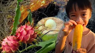 Survival Skills: SIMPLE and TASTY– Corn, Dragon Fruit & Eggs Cooked with a Coconut | KHA TYN