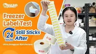 Freezer Labels That Never Fall Off ❄️｜24H Cold Test by Sailing Paper