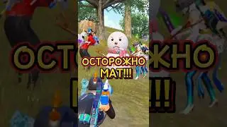 Когда твой тиммейт совсем уже офигел😂 #pubgmobile #pubg #пабг #pubgm