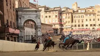 Il Salotto del Palio | Palio 16 agosto 2024 | SOGNO PALIO
