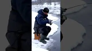 Mini fishing rods #walleyefishing